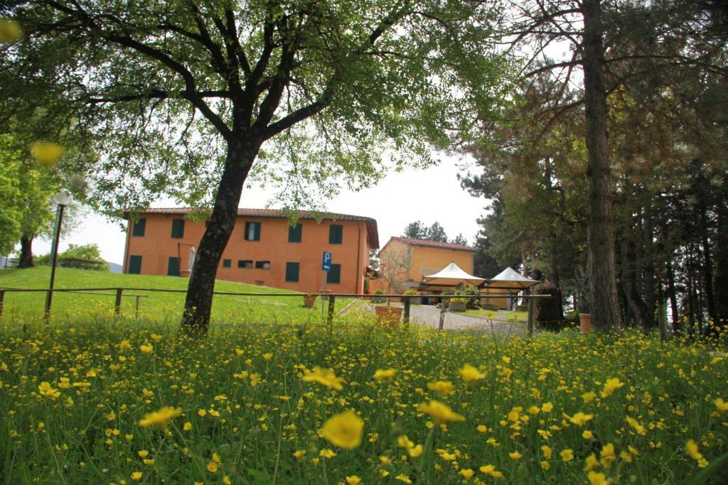 Residenza Di Campagna Montelleri Guest House Викио Екстериор снимка
